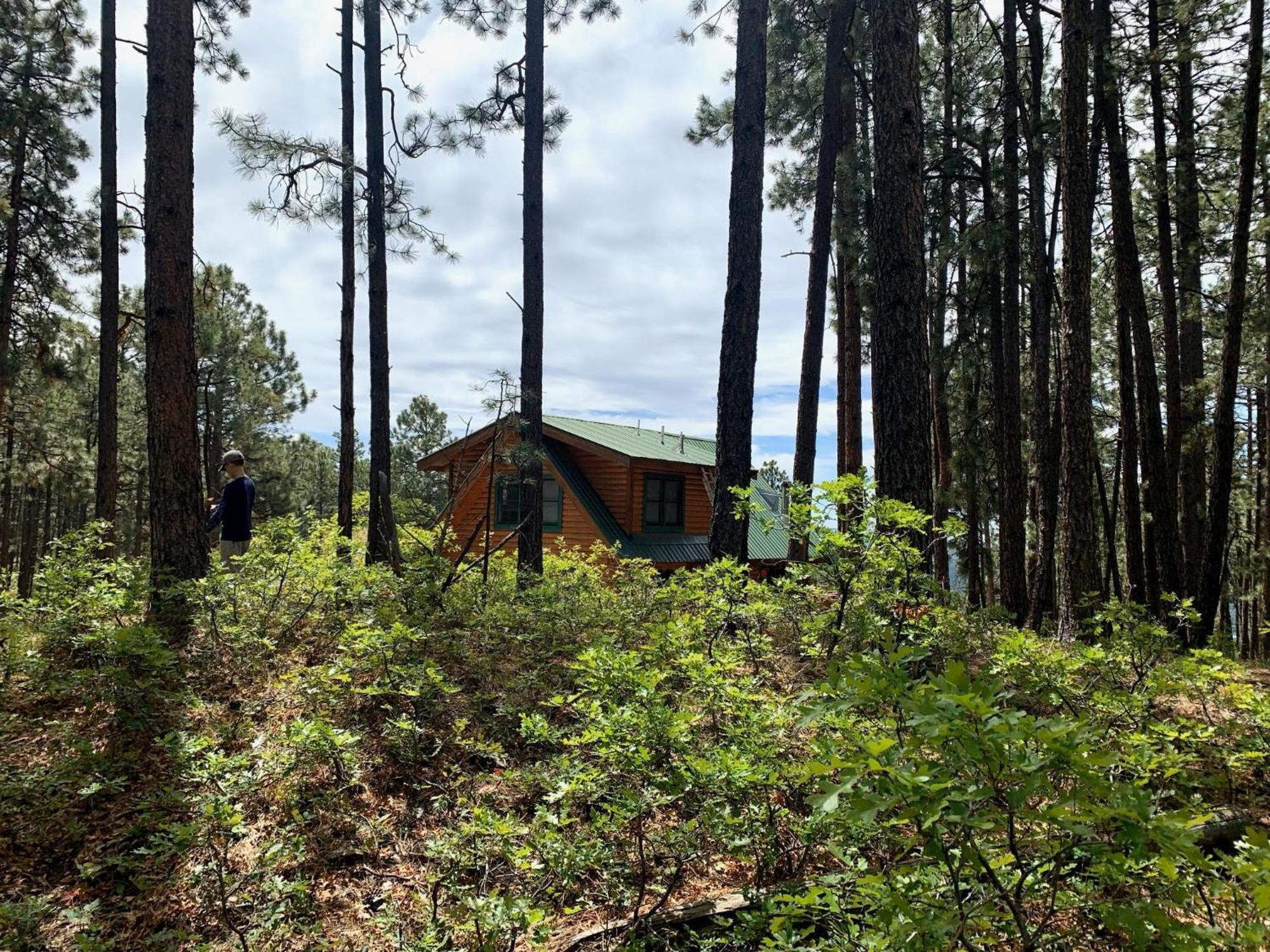 Bear Paw Lodge & Vacation Homes Vallecito Extérieur photo